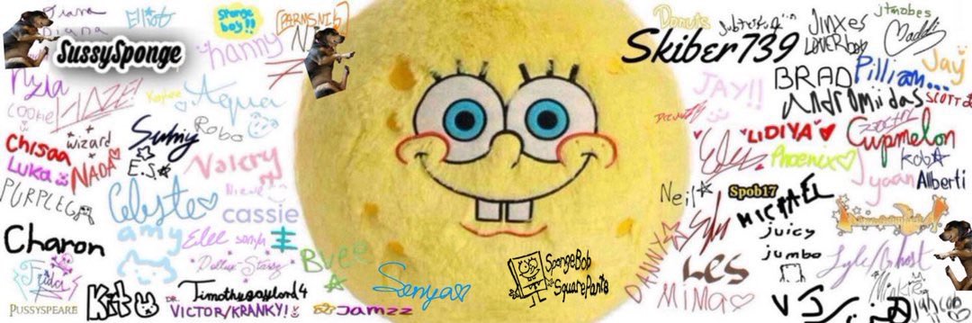 spong 🧽✧ banner
