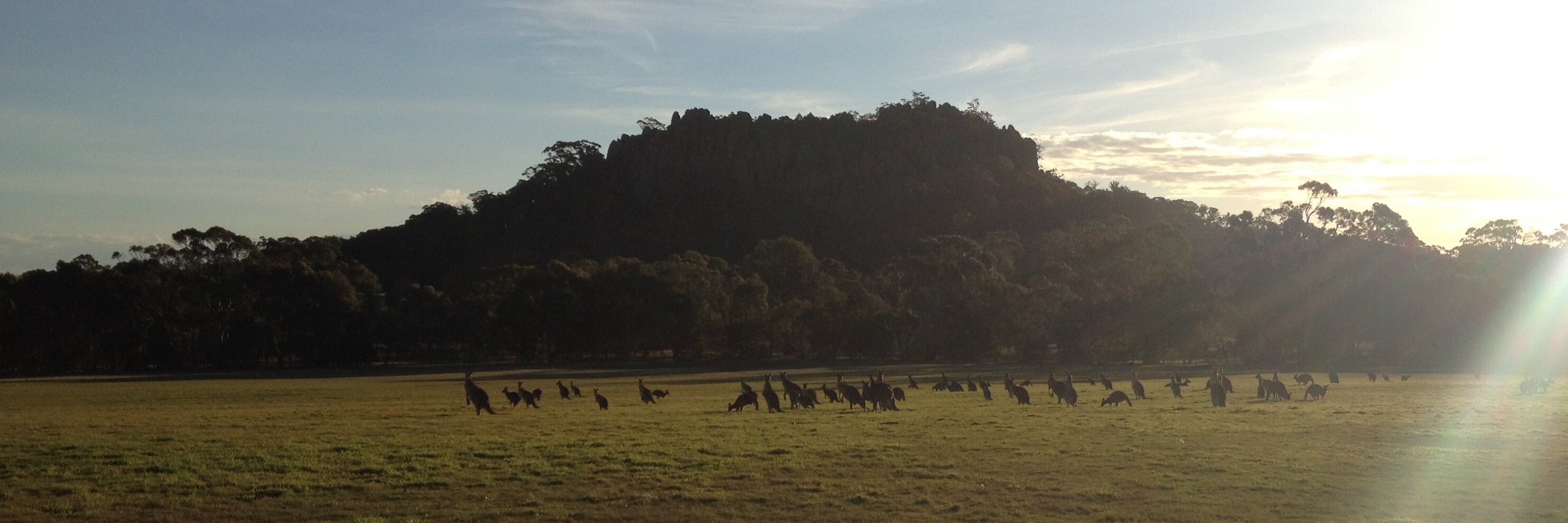 Hanging Rock Action banner