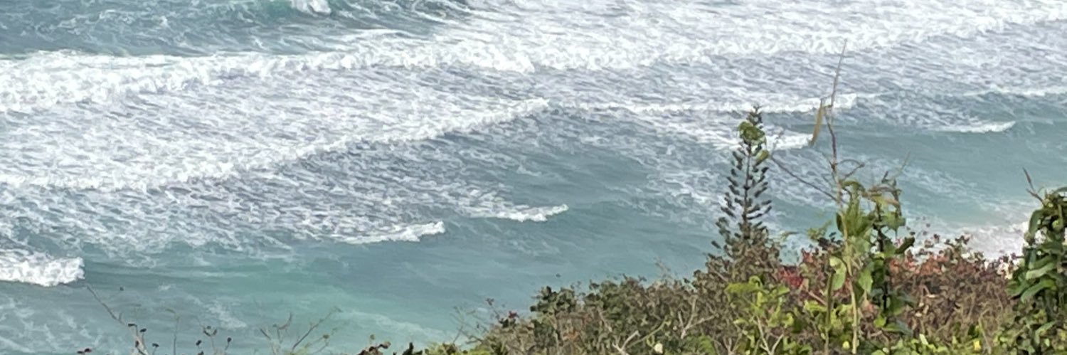 sa100742's profile banner image