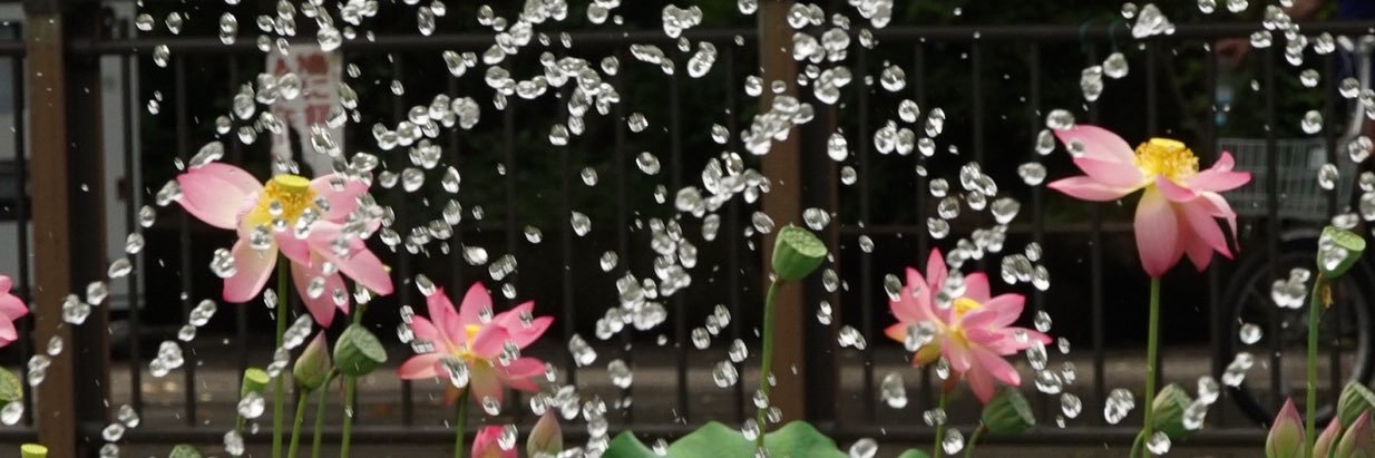 いっちゃん banner