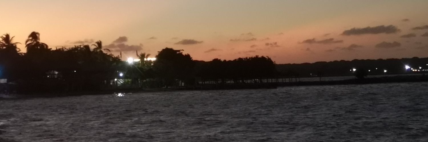 RosaMelba's profile banner image