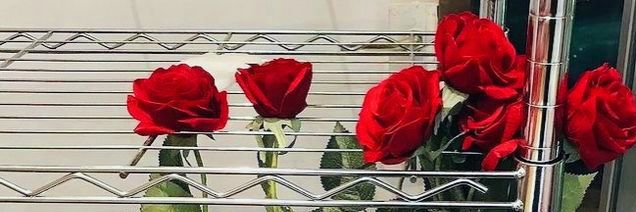ִֶָ clairin banner
