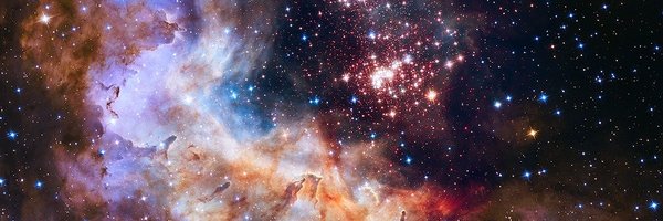 R0samond Profile Banner