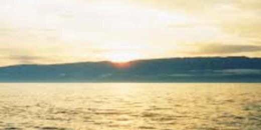 holymeol's profile banner image