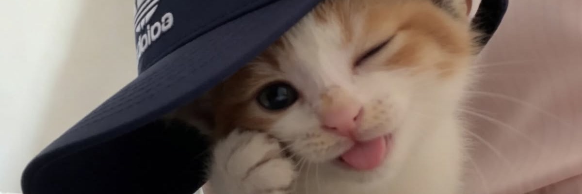 lizzyeyoo6ive's profile banner image