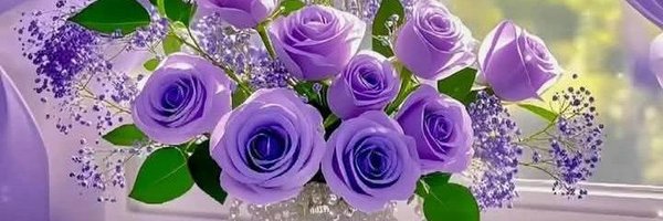 tlyh211 Profile Banner