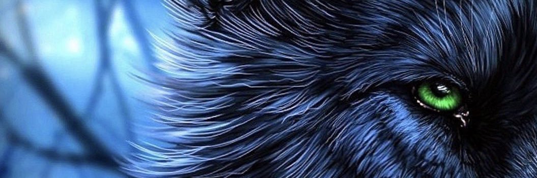 WildWolf banner