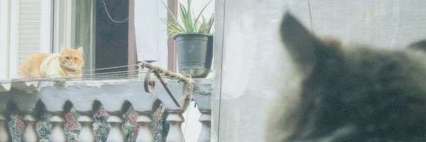 MaiMo157 Profile Banner