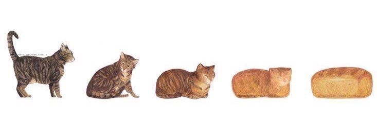 karandash✏️'s banner