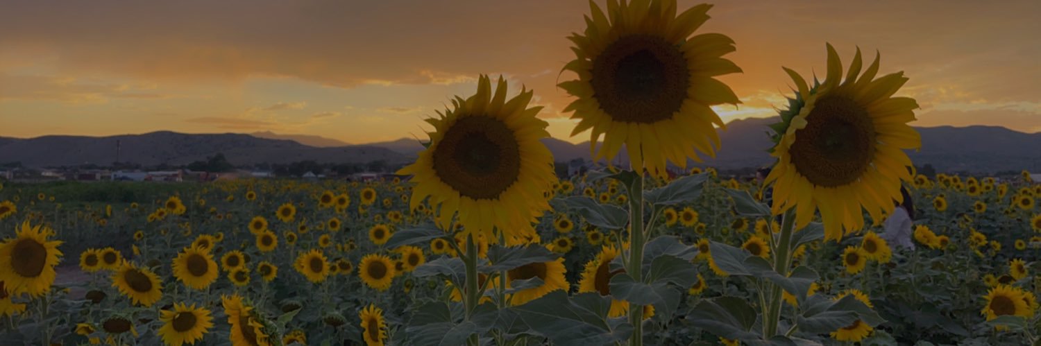 BryPeck's profile banner image