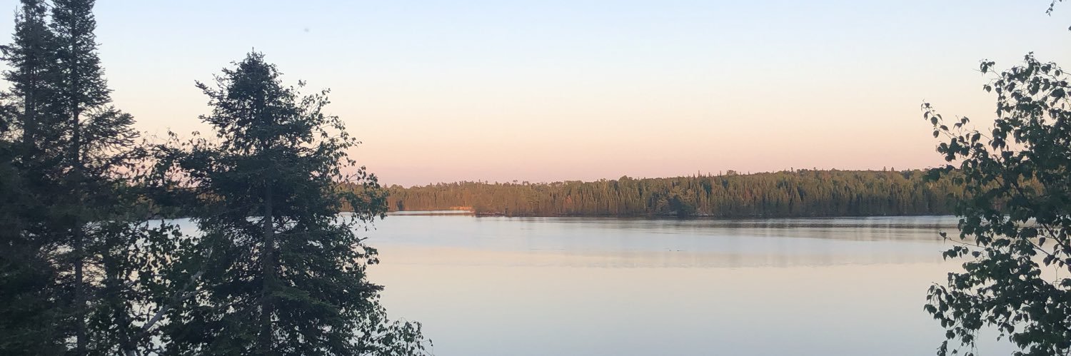 ca2gillis's profile banner image