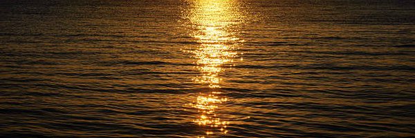 sun1358481 Profile Banner