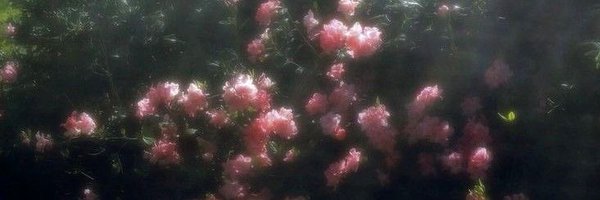 kitsuune24 Profile Banner