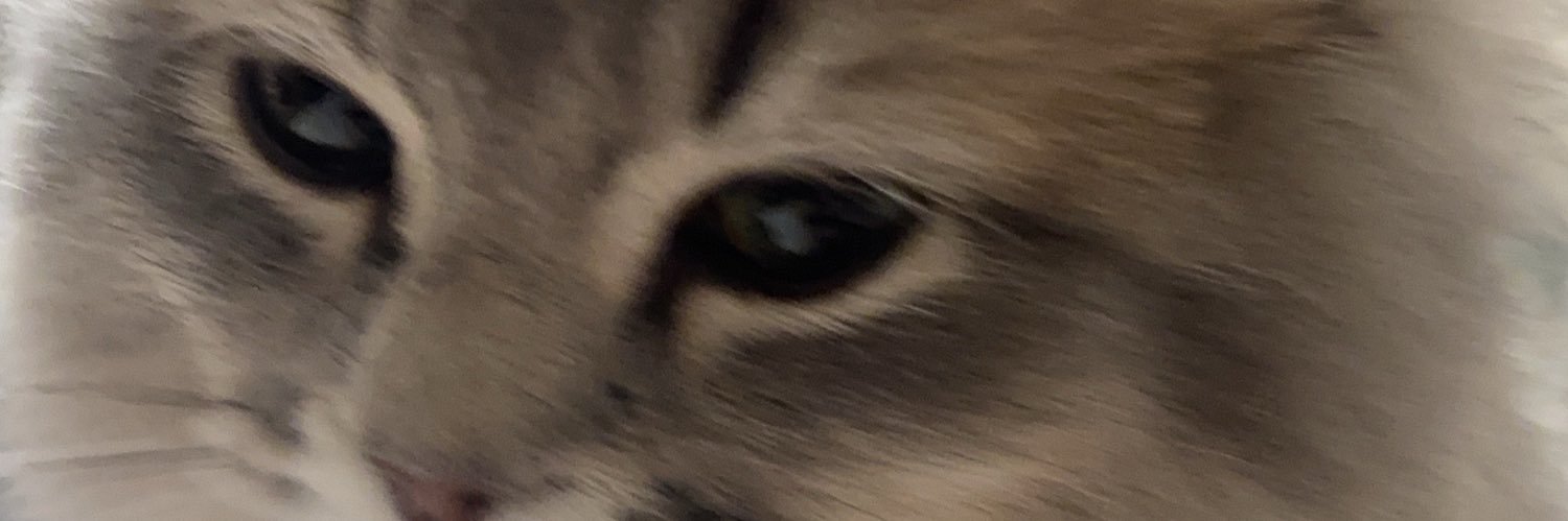 ふないみく banner