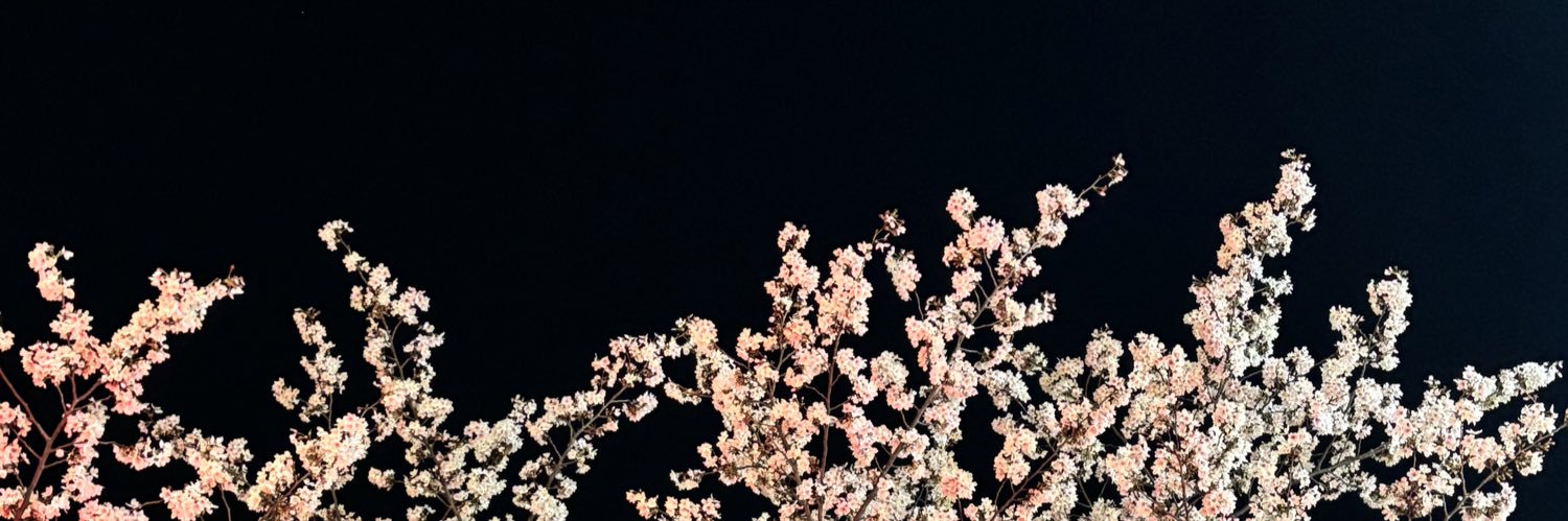 nortmass222's profile banner image