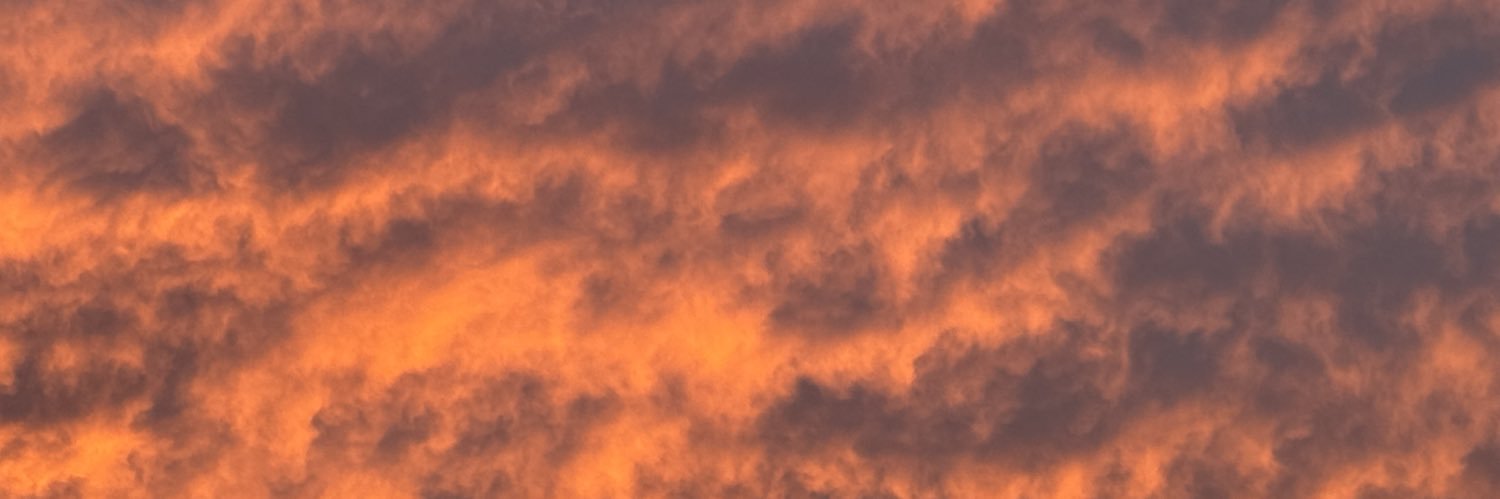 Littlemetoo3's profile banner image