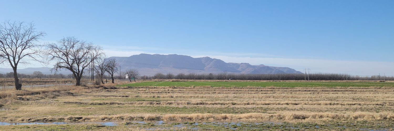Marthatrega's profile banner image