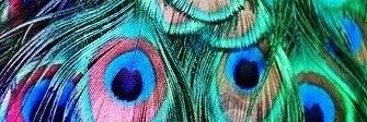 DoofusDavis's profile banner image