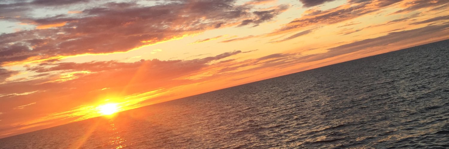 MoaSvanstrm's profile banner image