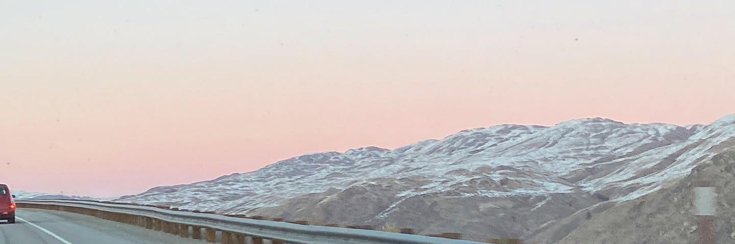rebeccamarowitz's profile banner image