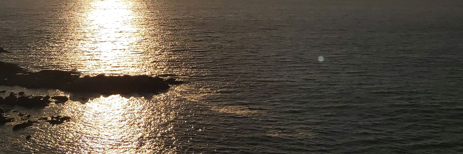 titasaez's profile banner image