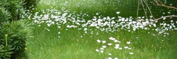 emmapermatahati's profile banner image
