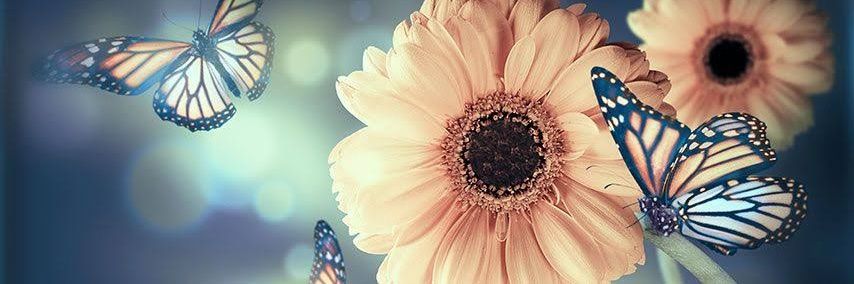 Shareen_Na's profile banner image