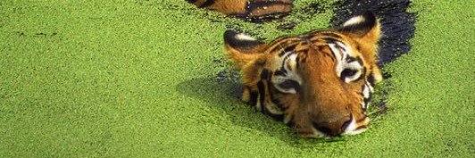 Hanithjamith's profile banner image