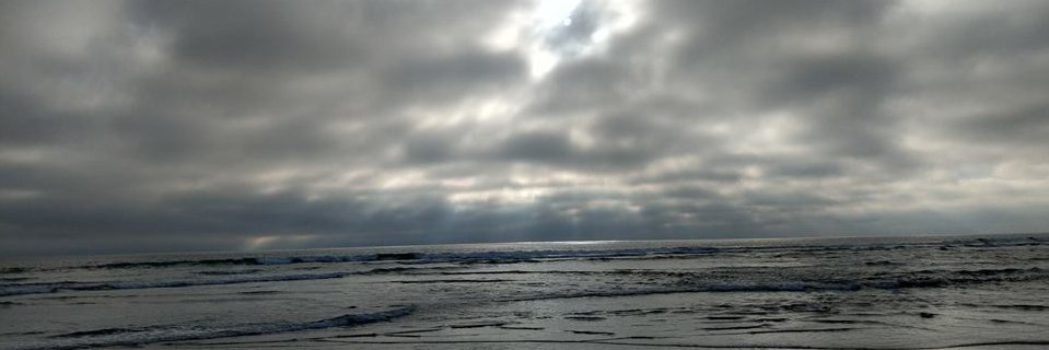 LastCalifornian's profile banner image