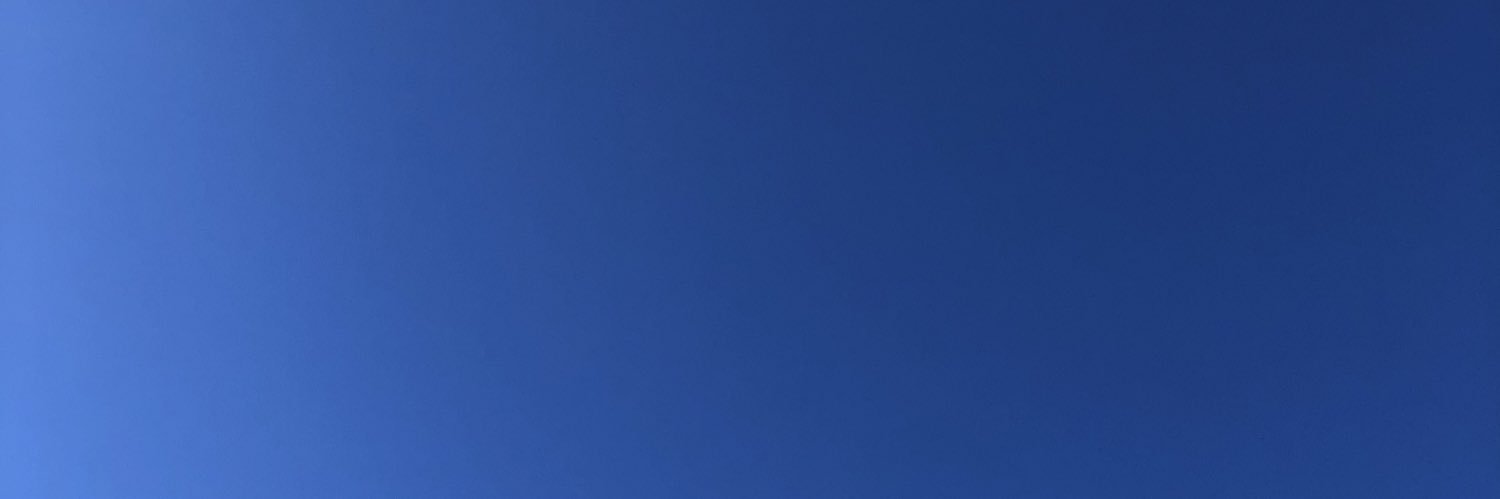 Linnea Carlén banner