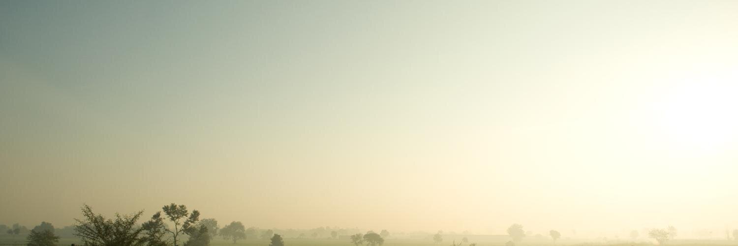 roarkyd's profile banner image