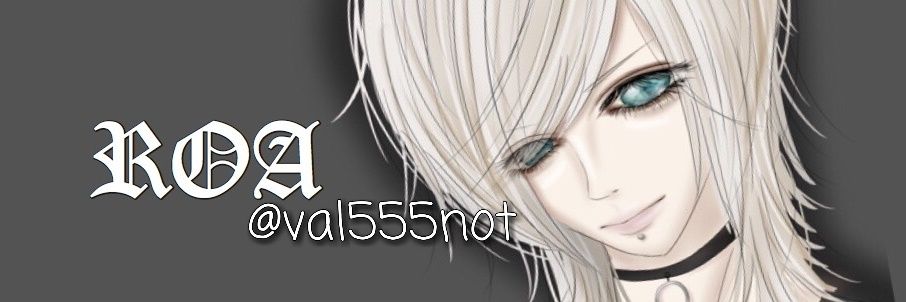 val555not's profile banner image