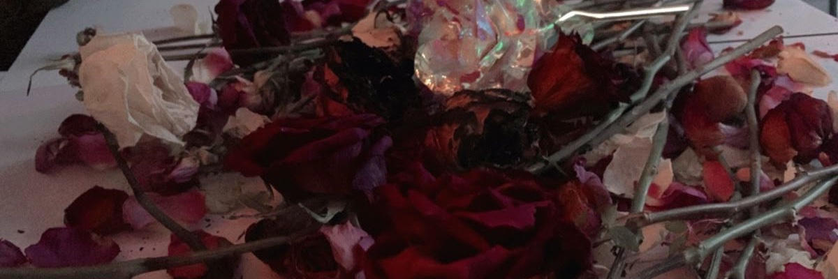 rose__latte's profile banner image