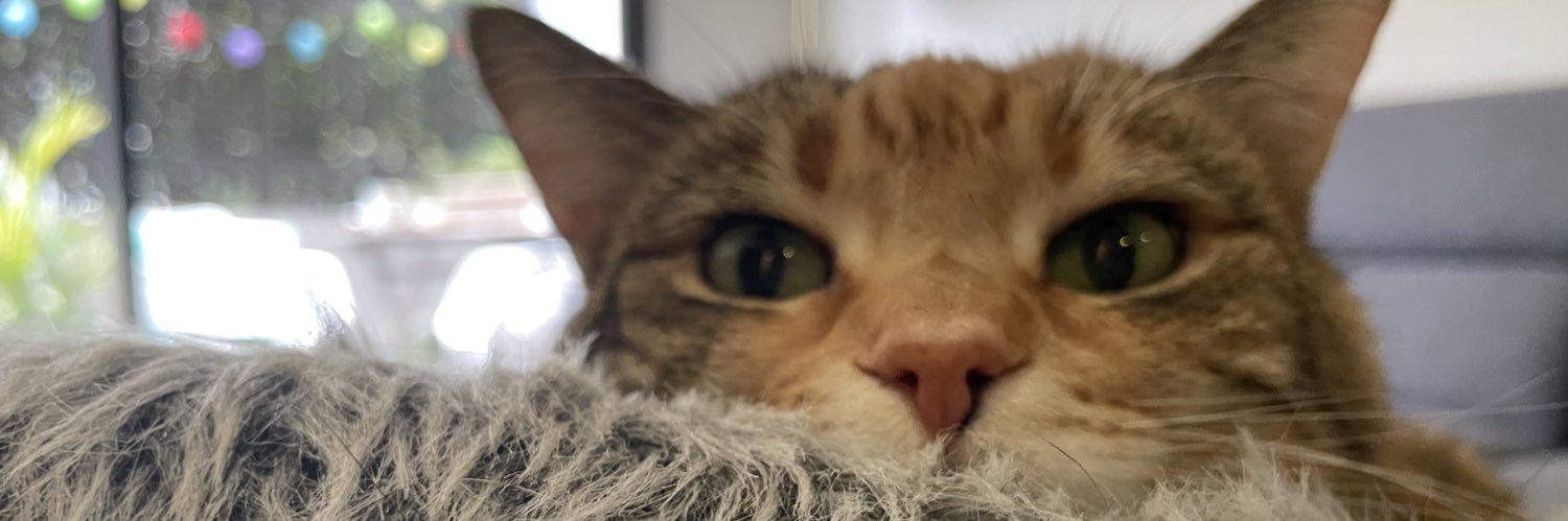 littleflick's profile banner image