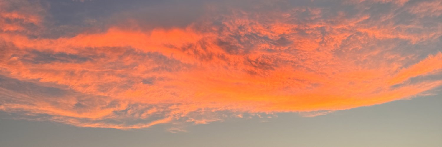 Denaiiis's profile banner image