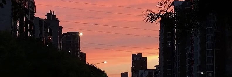 montsews's profile banner image