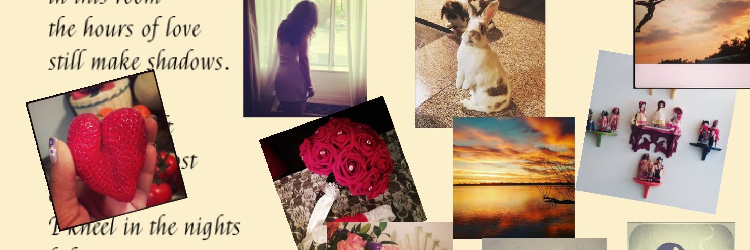 PricklyRose7's profile banner image