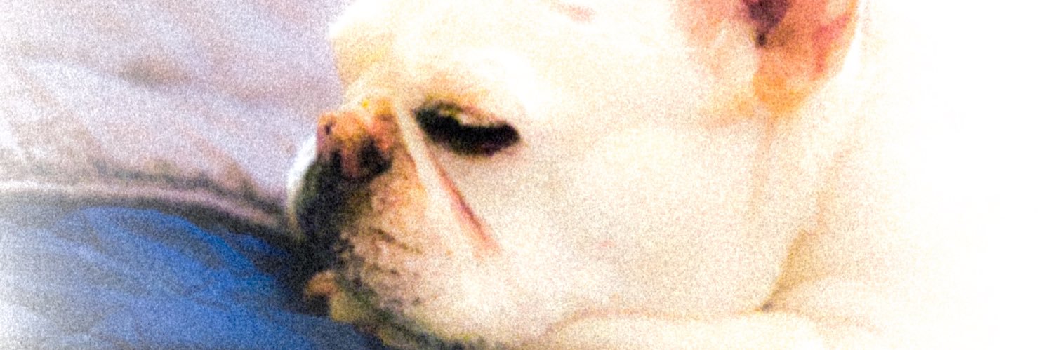 Timwilson702's profile banner image