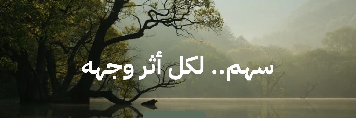 SahmNPO's profile banner image