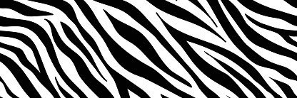 Taydoll banner
