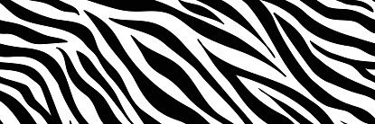 tayd0ll's profile banner image