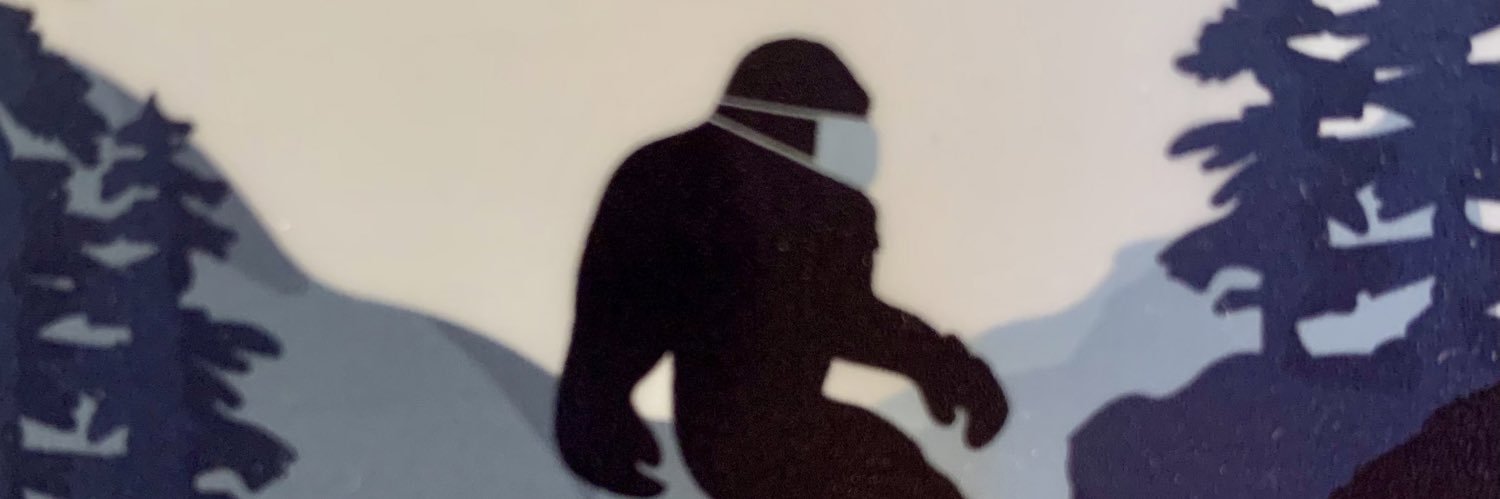 dgbrn's profile banner image