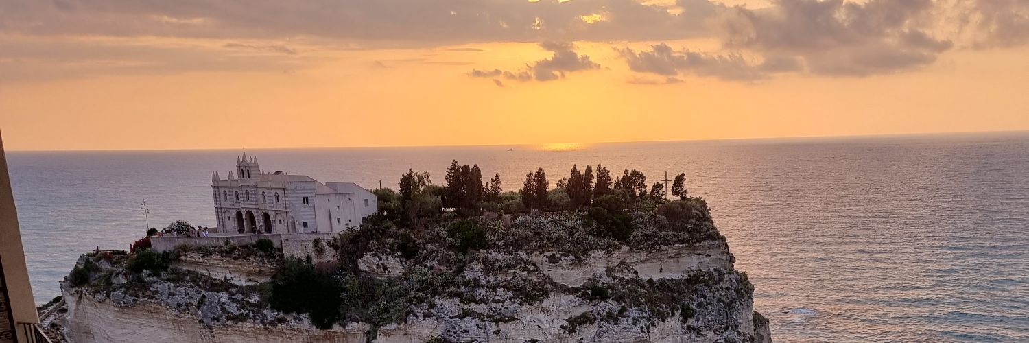 AlexMartinBJJ's profile banner image