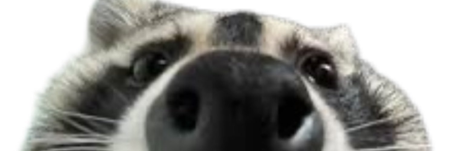 nativecheeks banner