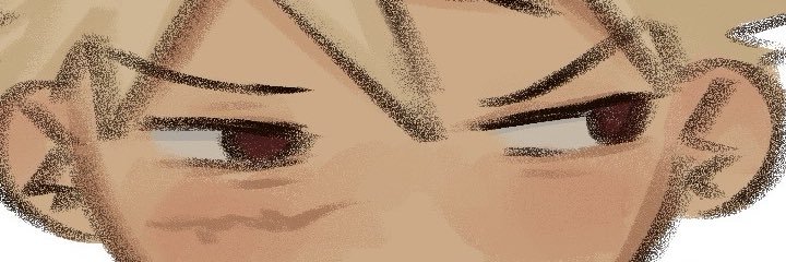 e0110s's profile banner image