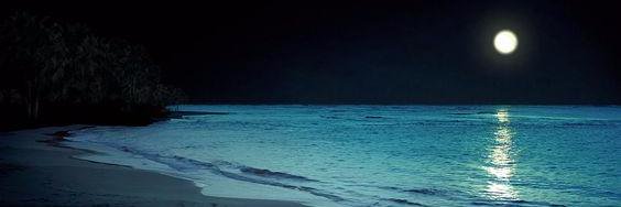 thepolvin94's profile banner image