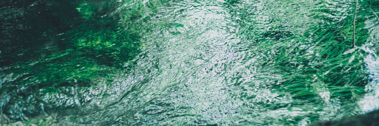 ごとり🐦 banner