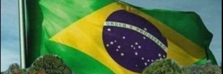 Cezar banner