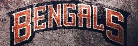 WhoDey FRANK banner