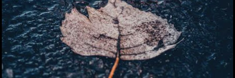 SevdiyeU's profile banner image